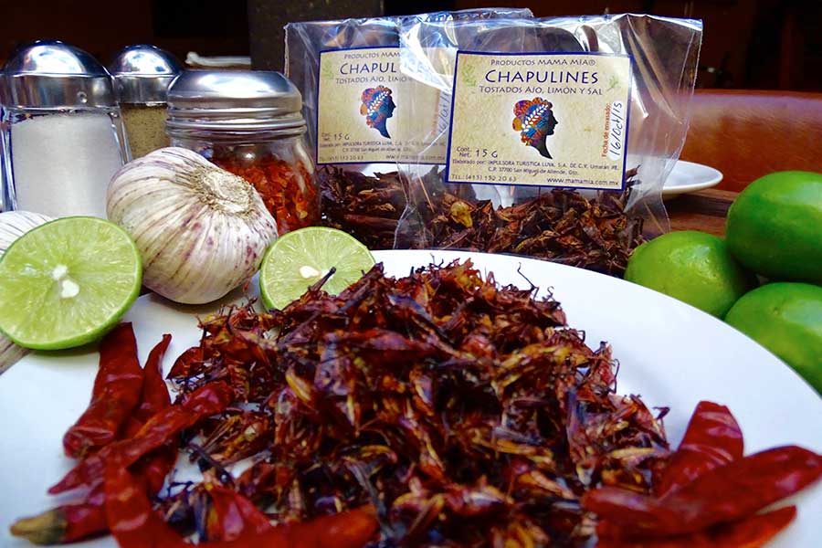 Chapulines MAMA MIA San Miguel De Allende